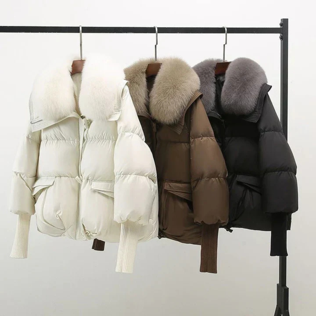 Well Tailored Coat with a Graceful Silhouette
