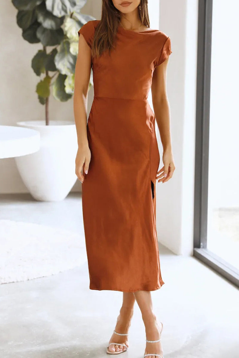 Sophisticated Dress with a Clean Classic Look
