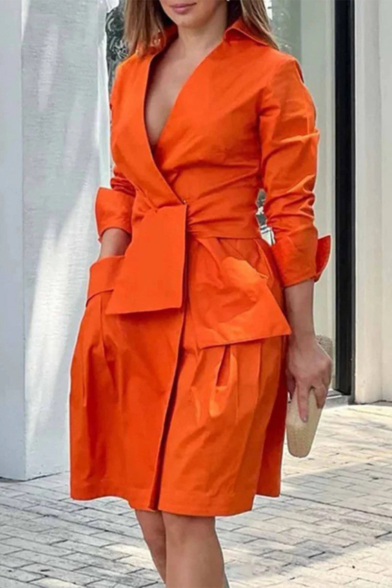 Gracefully Styled Dress for Any Occasion