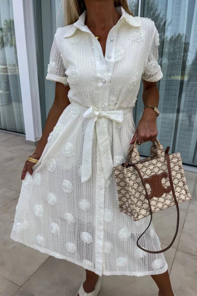 Sophisticated Dress with a Clean Classic Look