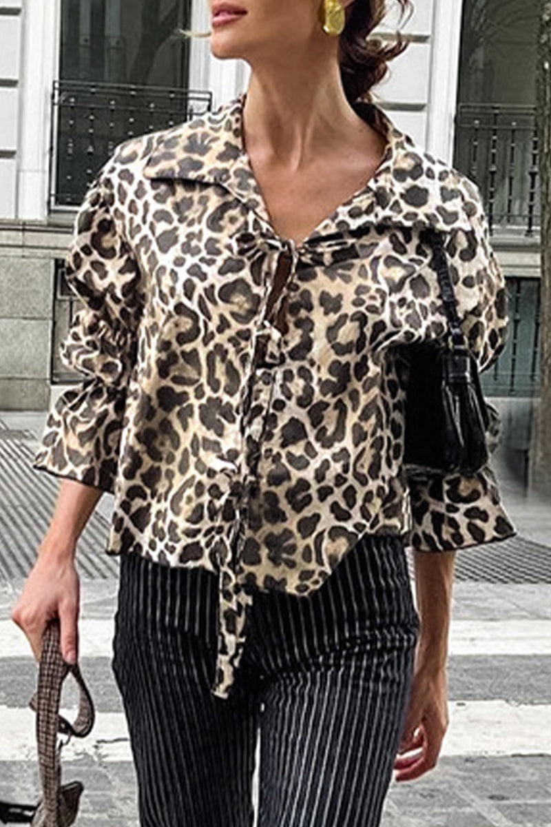 Beautifully Balanced Blouse with Timeless Character