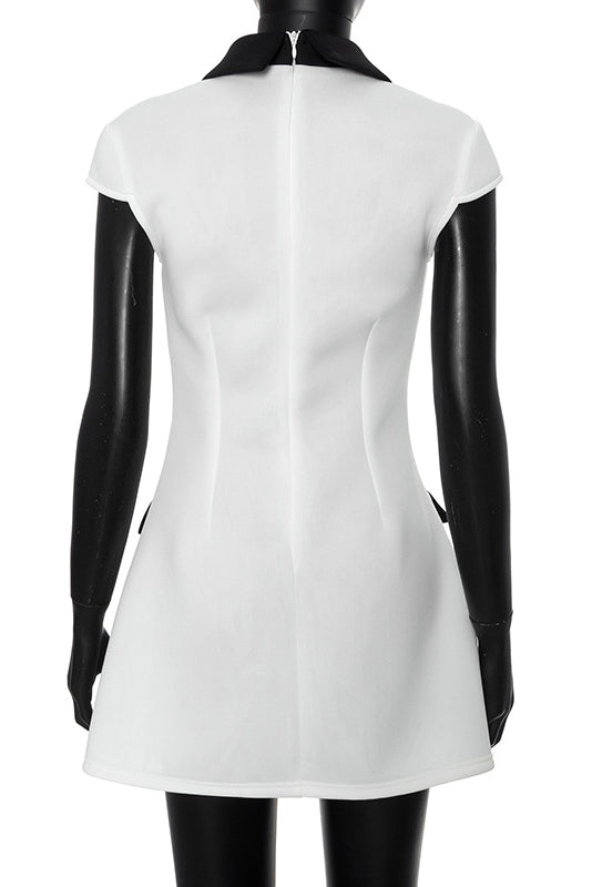 Sophisticated Dress with a Clean Classic Look
