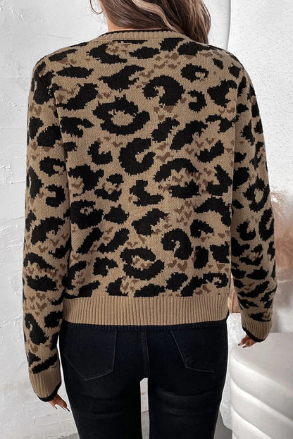 Well Tailored Cardigan with a Graceful Silhouette