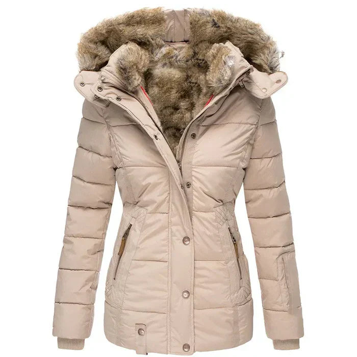 Sophisticated Coat with a Clean Classic Look