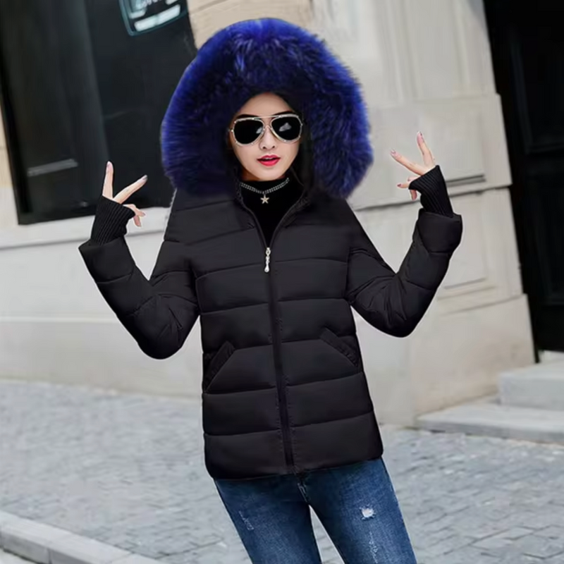 Sophisticated Jacket with a Clean Classic Look