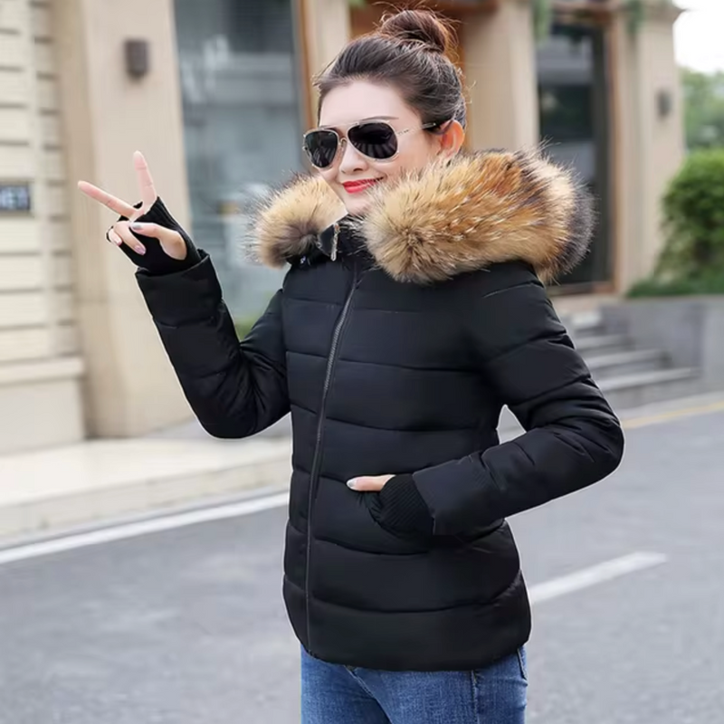 Sophisticated Jacket with a Clean Classic Look