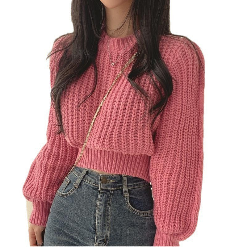 Sophisticated Sweater with a Clean Classic Look