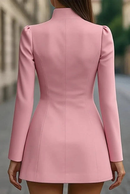 Sophisticated Dress with a Clean Classic Look