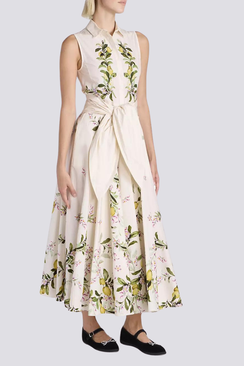Classic Vintage & Enduringly Stylish Dress
