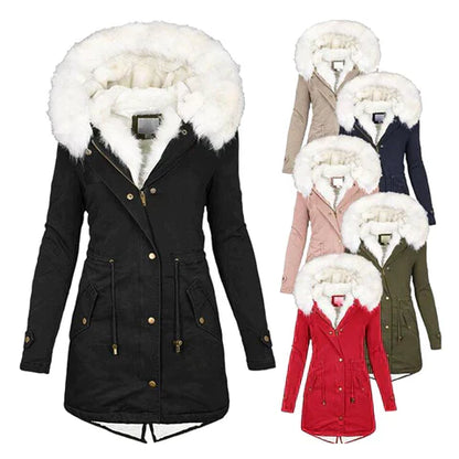 Sophisticated Jacket with a Clean Classic Look