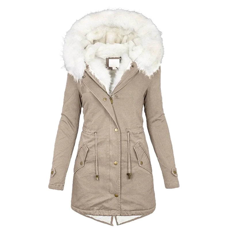 Sophisticated Jacket with a Clean Classic Look