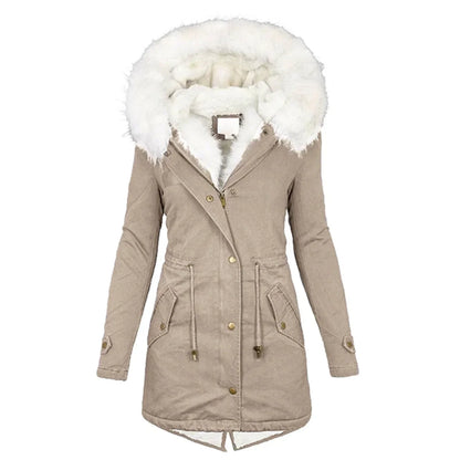 Sophisticated Garment with a Clean Classic Look