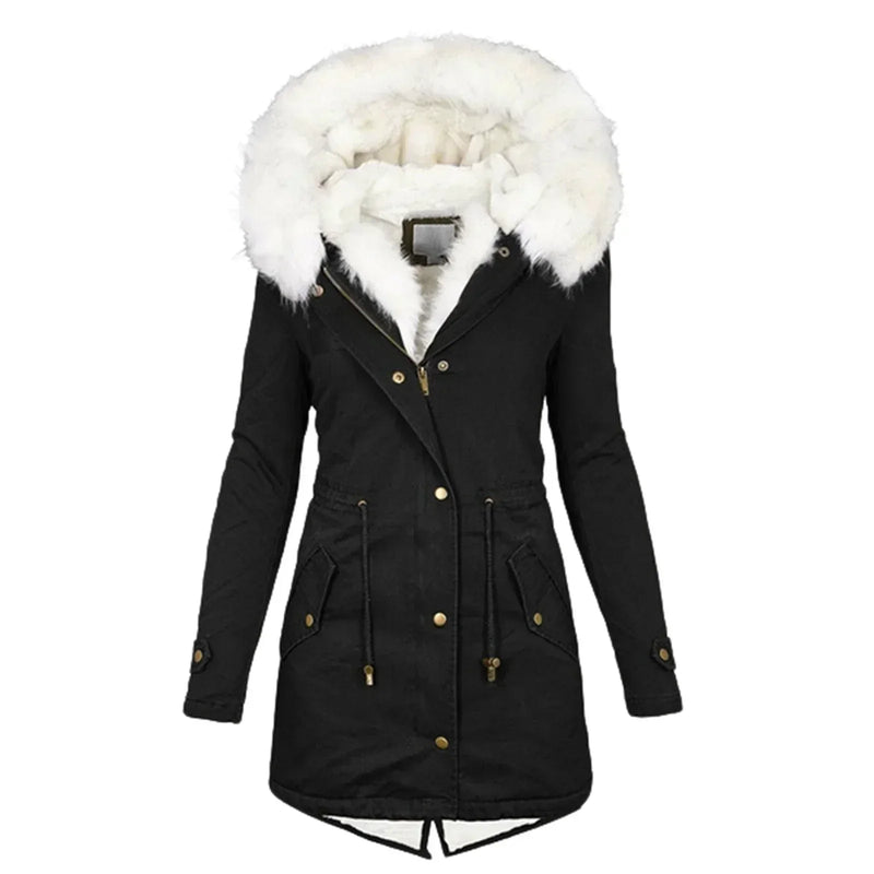 Sophisticated Jacket with a Clean Classic Look