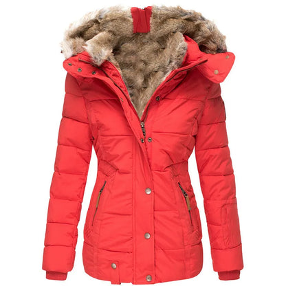 Well Tailored Coat with a Graceful Silhouette