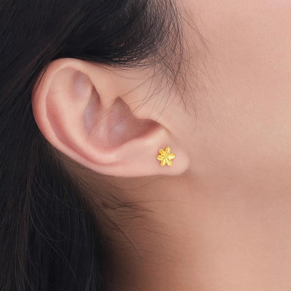 Klassinen Kulta Korvarengas ajattomalla viehätyksellä