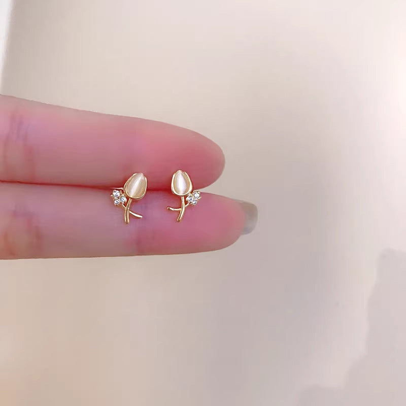 Kaunis Koru ainutlaatuisella tyylillä