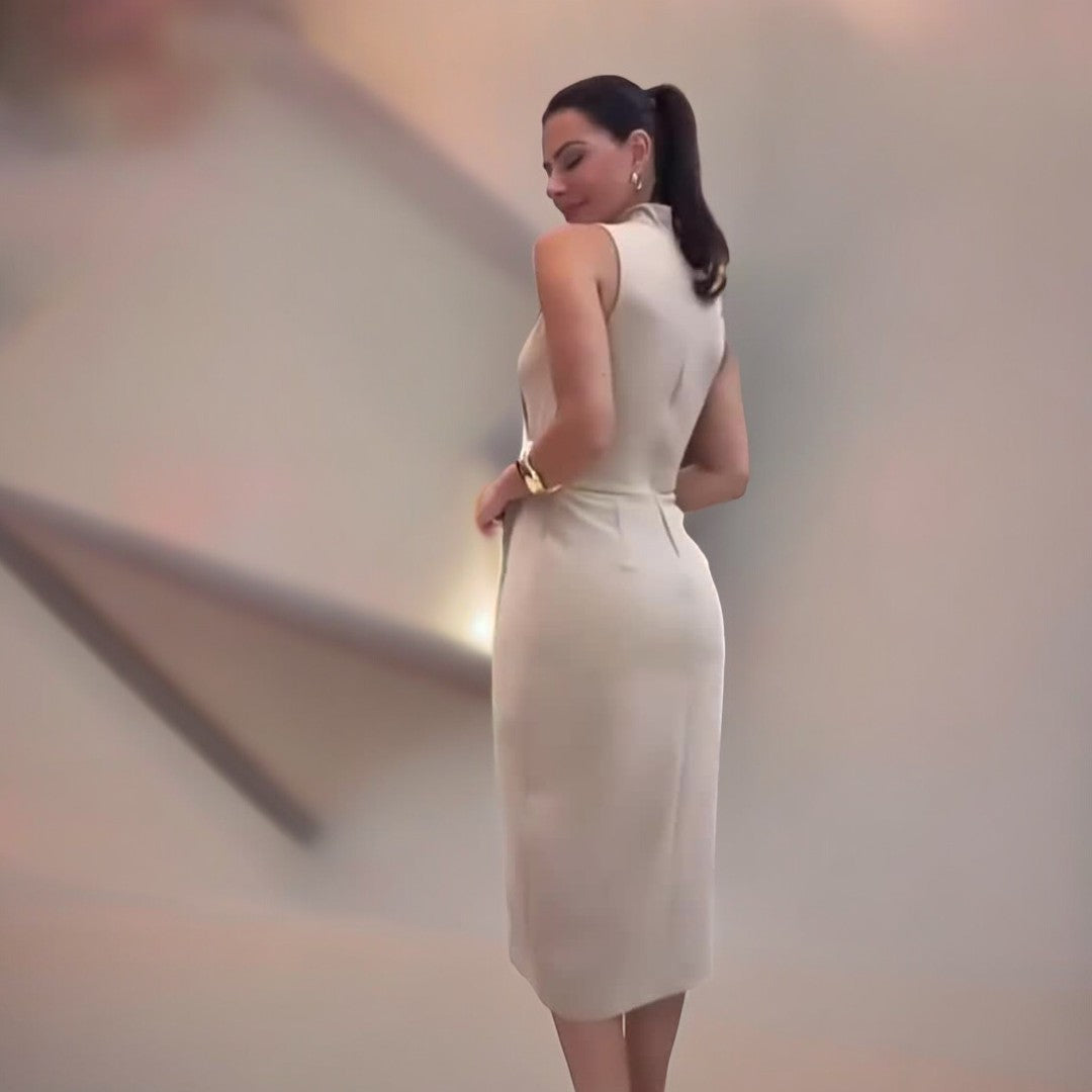 Sophisticated Dress with a Clean Classic Look