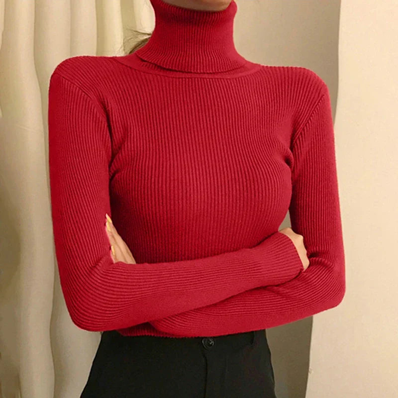 Sophisticated Sweater with a Clean Classic Look