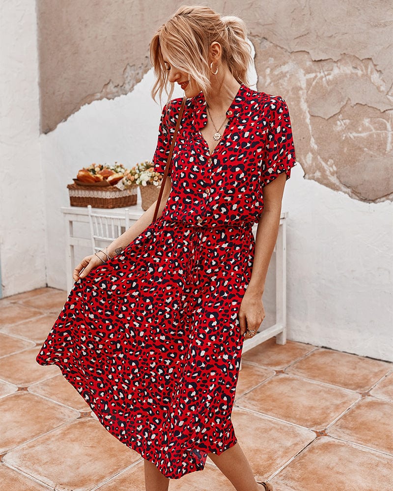 Sophisticated Dress with a Clean Classic Look