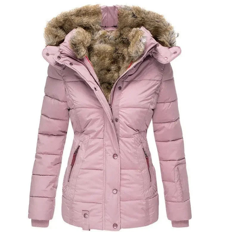 Classic Vintage & Enduringly Stylish Jacket