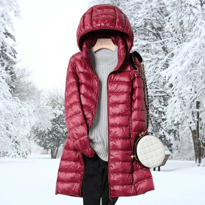 Sophisticated Jacket with a Clean Classic Look