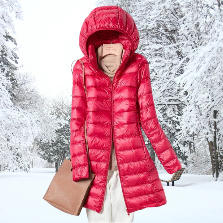 Sophisticated Jacket with a Clean Classic Look