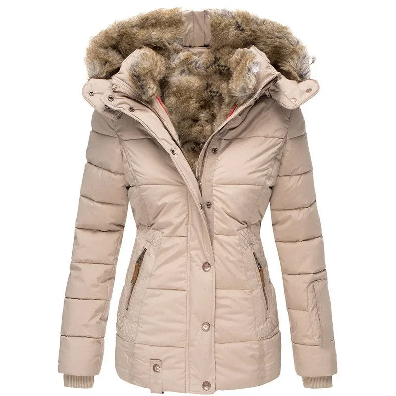 Classic Vintage & Enduringly Stylish Jacket