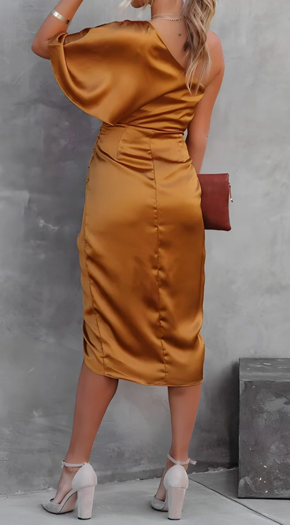 Gracefully Styled Dress for Any Occasion
