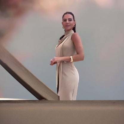 Sophisticated Dress with a Clean Classic Look