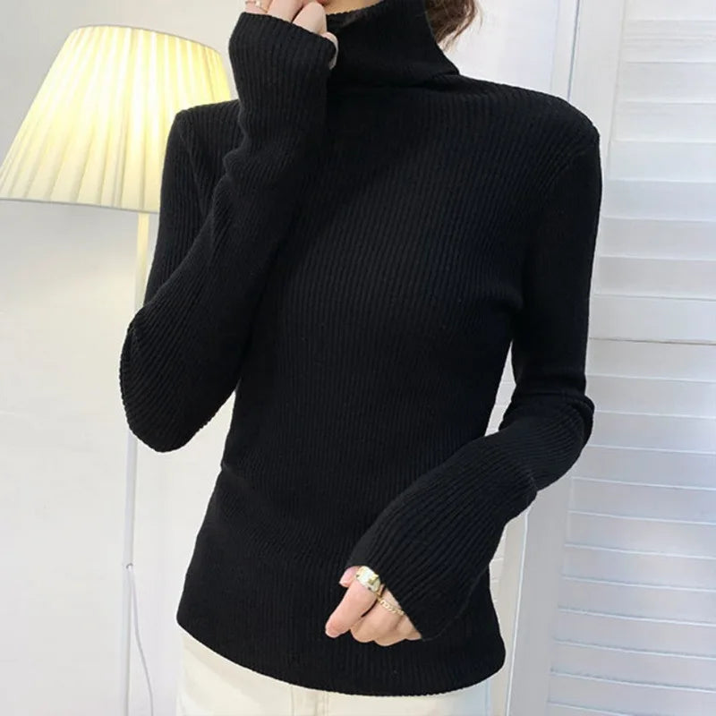 Sophisticated Sweater with a Clean Classic Look