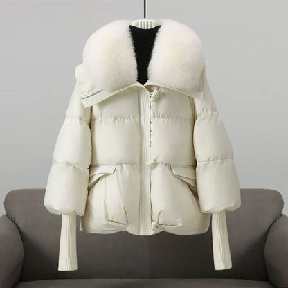 Elegantly Styled Jacket for Everyday Wear