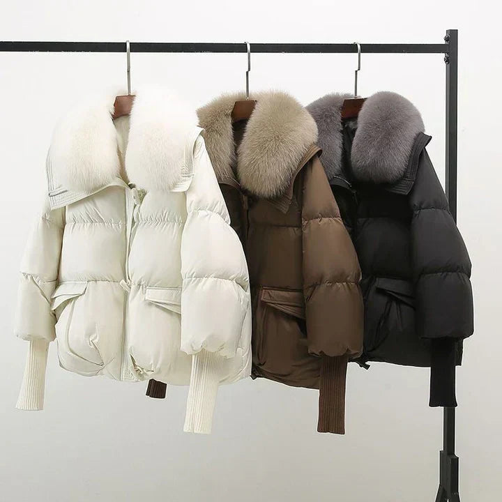 Elegantly Styled Jacket for Everyday Wear