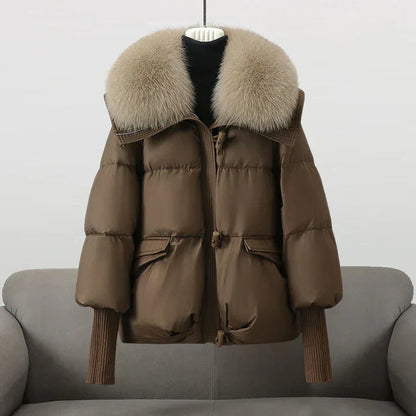 Sophisticated Coat with a Clean Classic Look