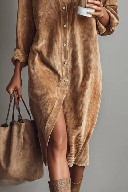 Sophisticated Dress with a Clean Classic Look