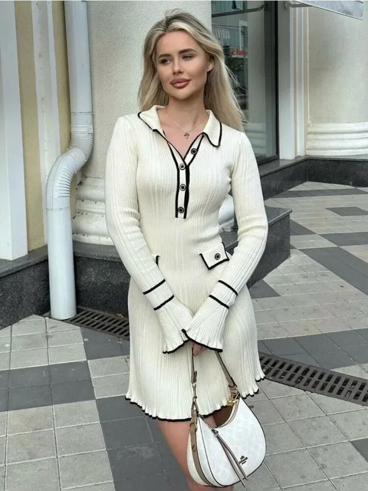 Sophisticated Dress with a Clean Classic Look
