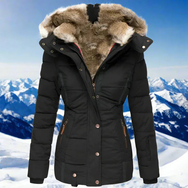 Elegantly Styled Jacket for Everyday Wear